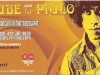 Vibe For Philo 2009, Button Factory, Dublin, Ticket, Thin Lizzy