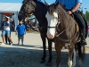 NOPD,New Orleans Jazz & Heritage Festival