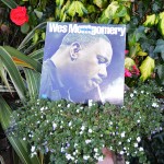 Wes Montgomery Canadian Sunset