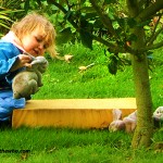 Happy Face & The Rabbit