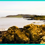 Portrane Rocks